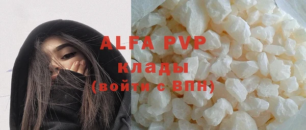 индика Алексин