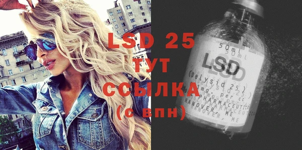 индика Алексин