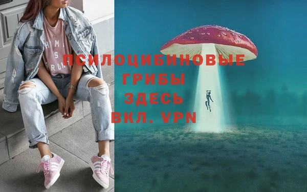 метадон Алексеевка