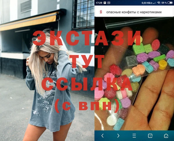 индика Алексин