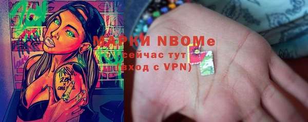индика Алексин