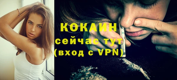 индика Алексин