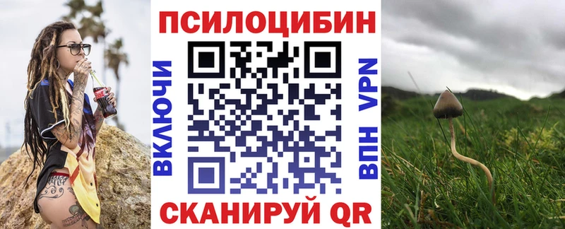 закладка  Бирюч  Галлюциногенные грибы мухоморы 